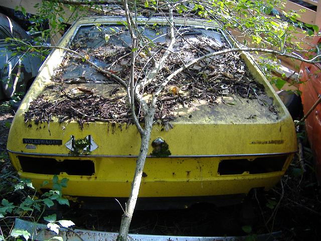 Autofriedhof - 168.JPG - Historischer Autofriedhof,    Gürbetal (CH)